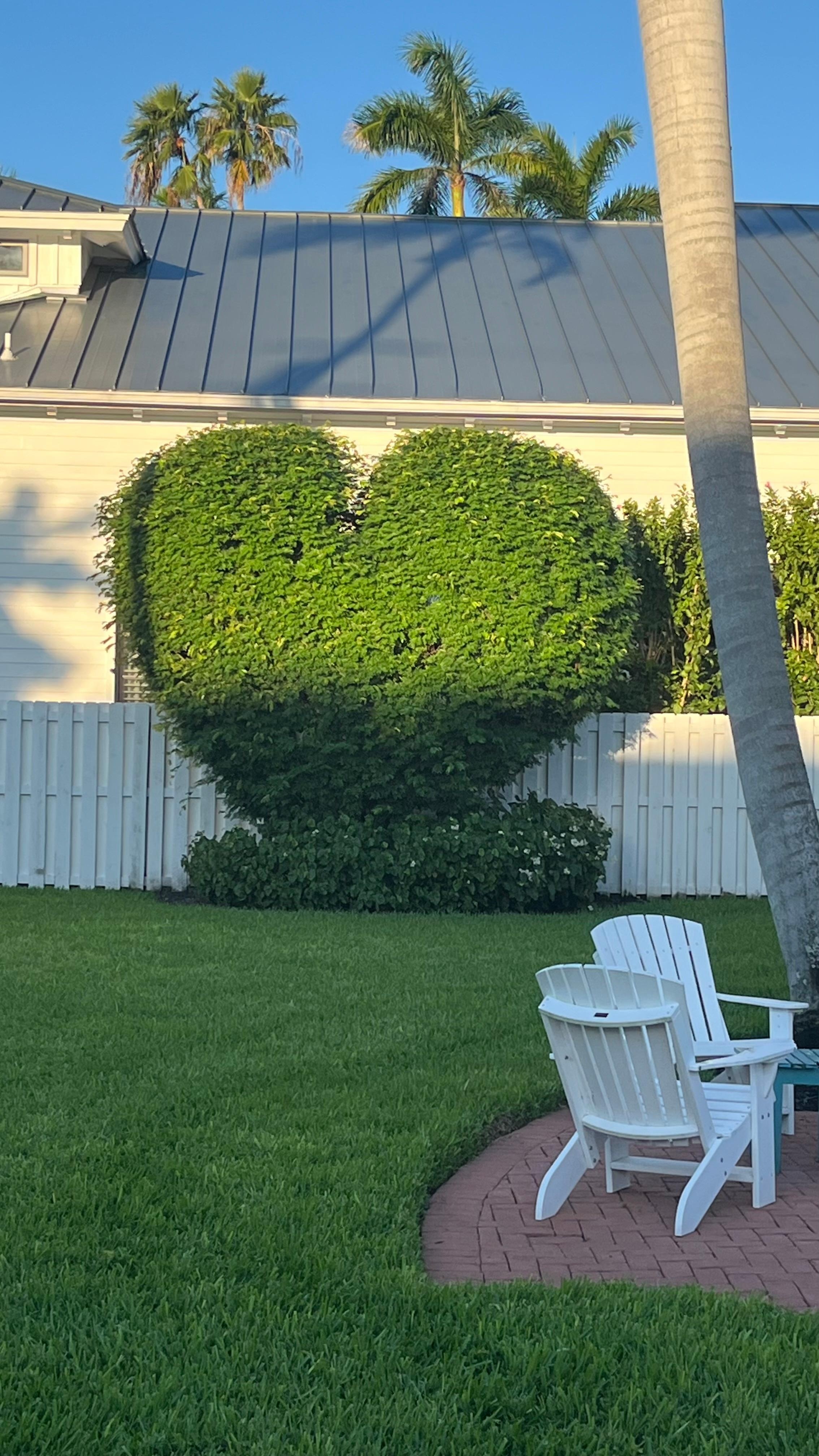 This is what you see when you walk thru the trellis