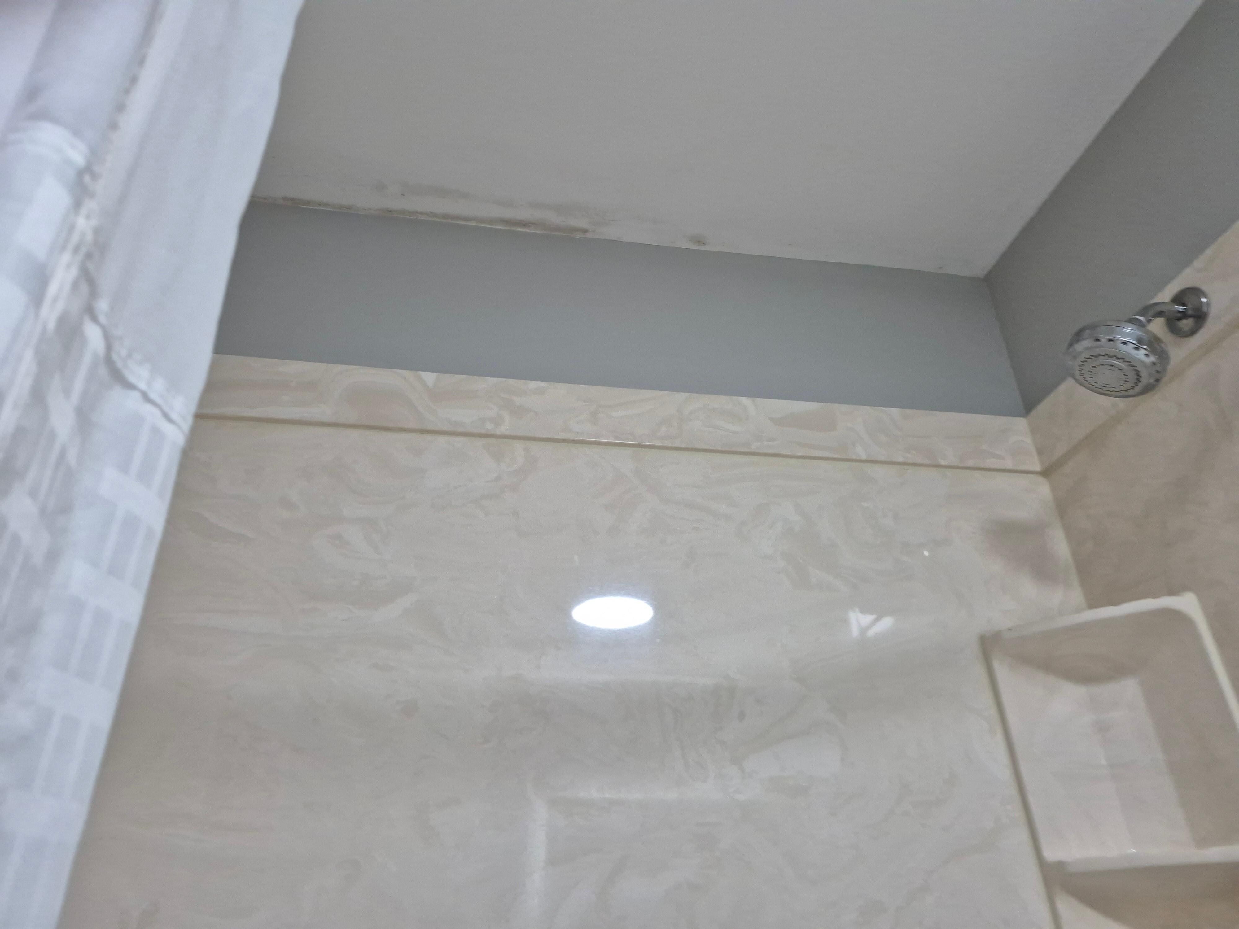 MOLD on ceiling 