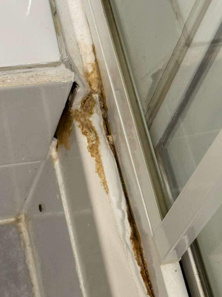 Moldy shower 