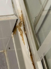 Moldy shower