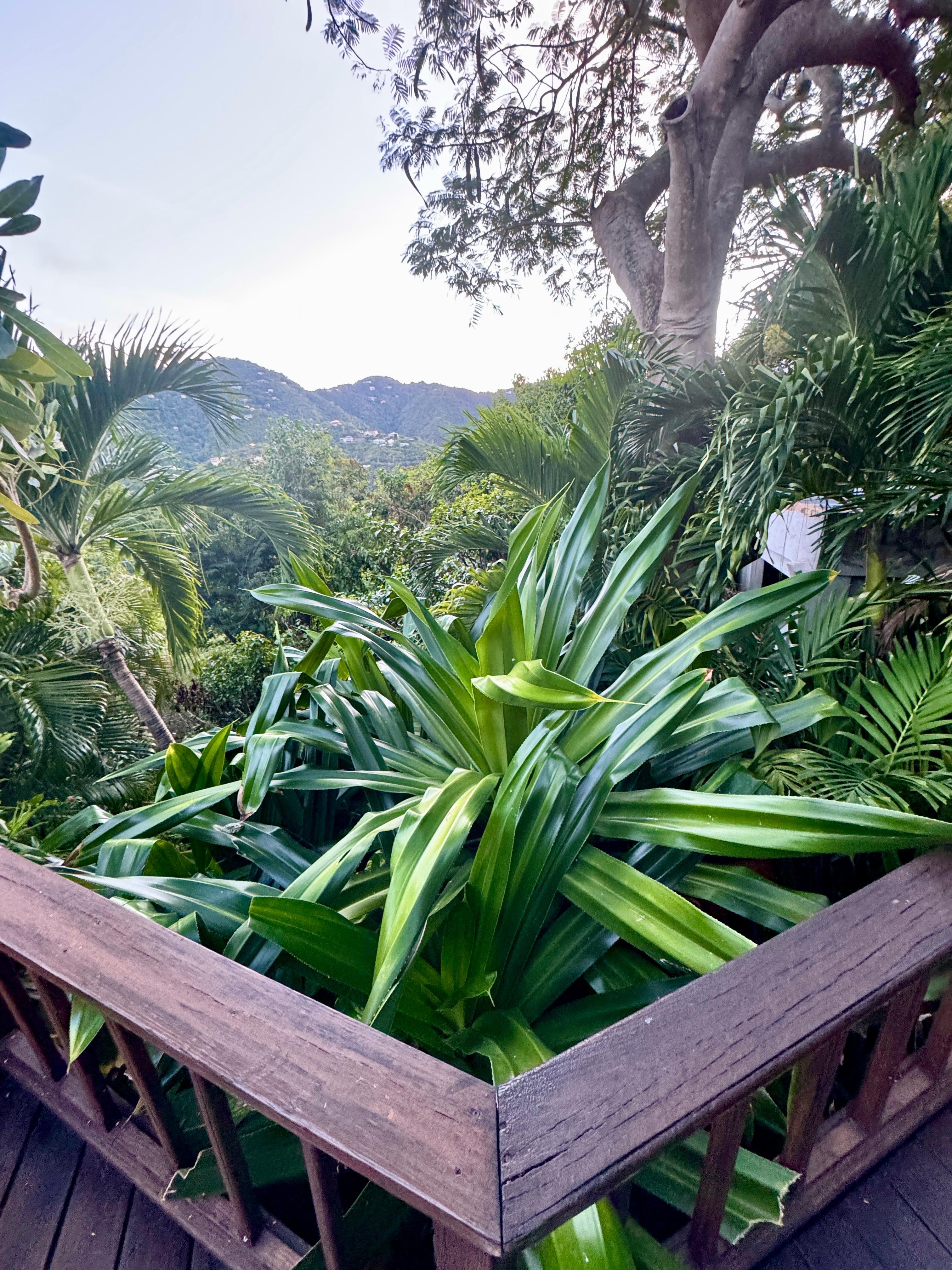 Beautiful landscaping all around the home