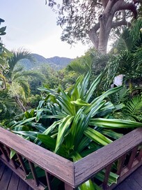 Beautiful landscaping all around the home