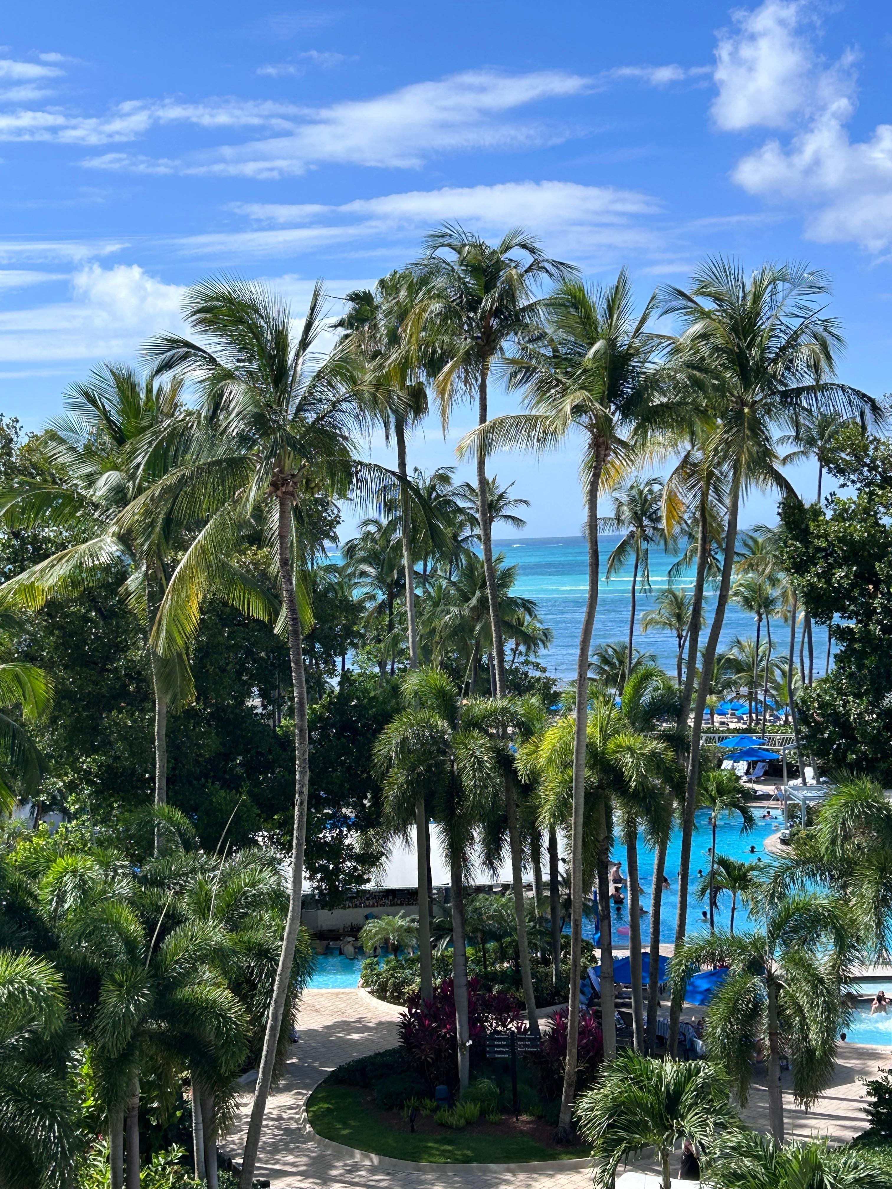 From our room balcony 