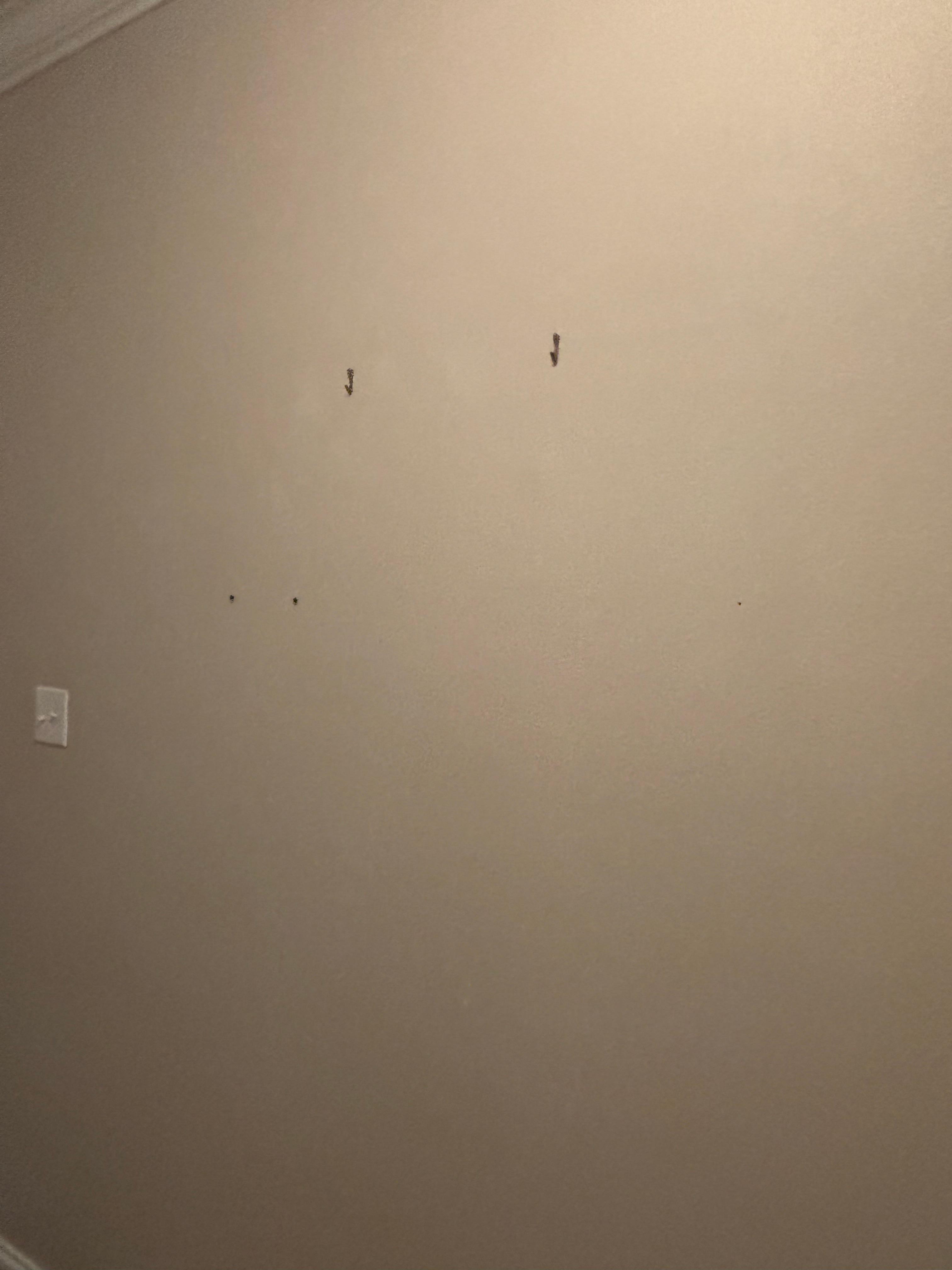 Screws or nails on the walls were pictures previously hung.