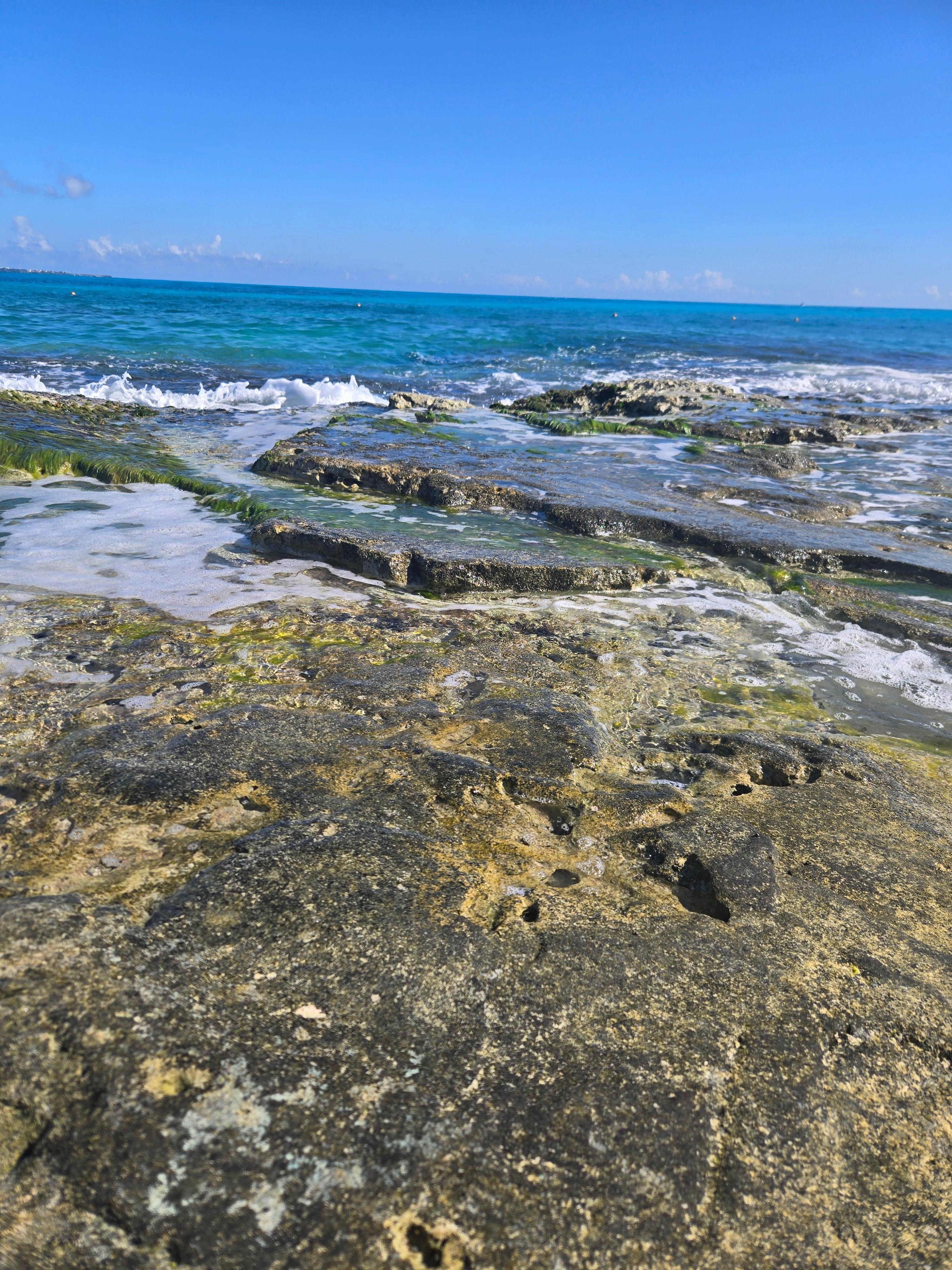 Area by the turquesa buffet