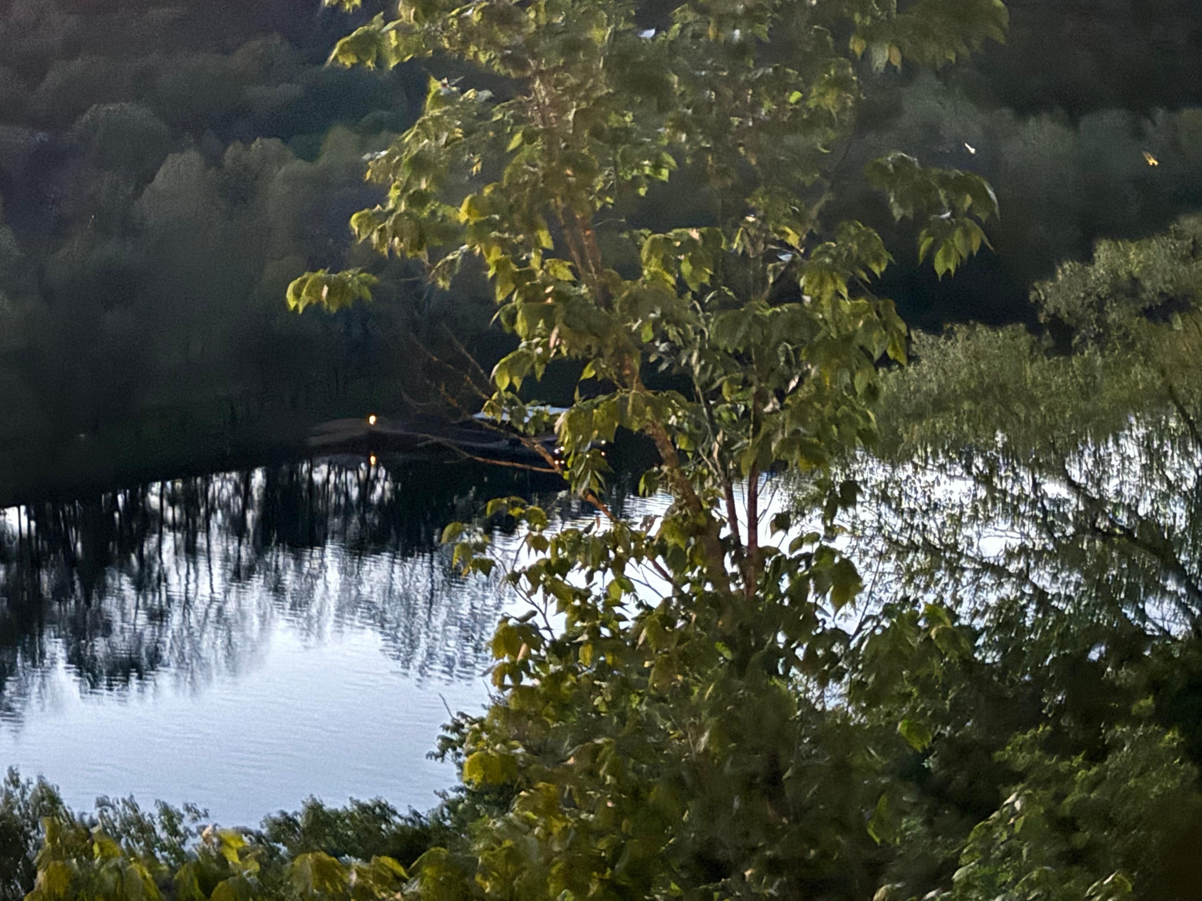 River from the balcony 