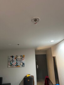 Stuff hanging from the ceiling.
