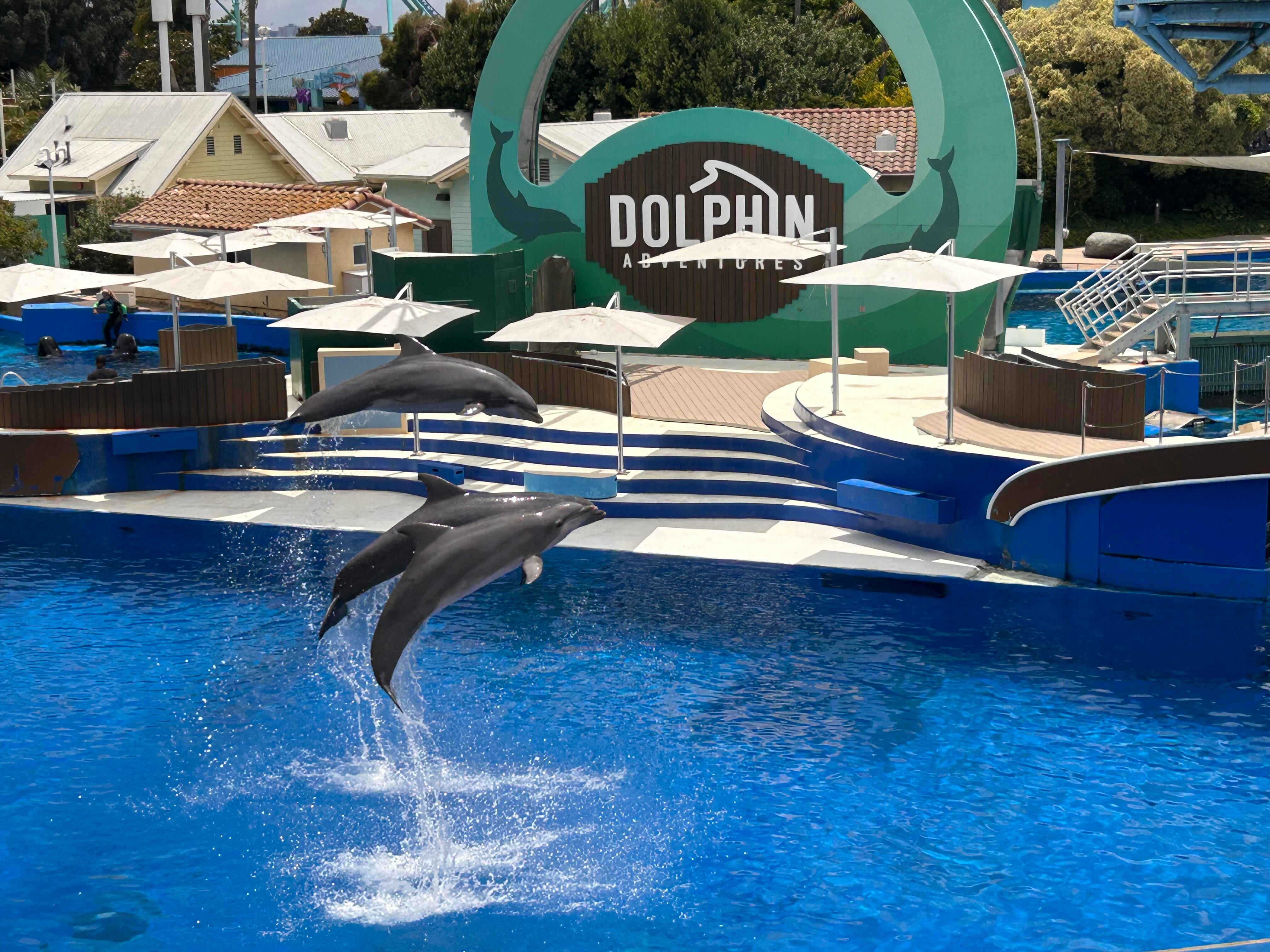 Sea World 