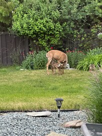 A bonus of our awesome Vrbo booking