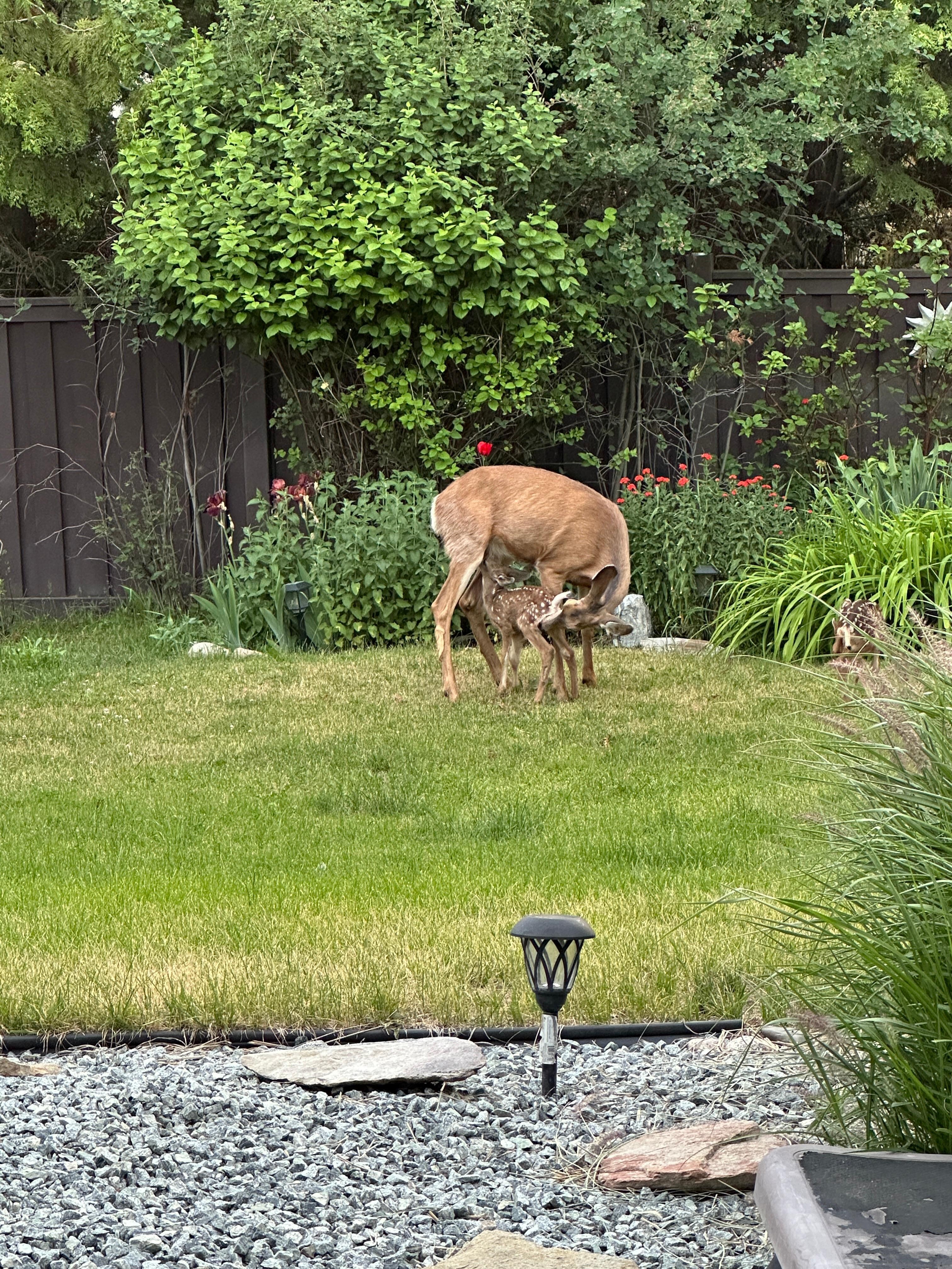 A bonus of our awesome Vrbo booking 