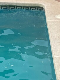 Scum floating on pool surface