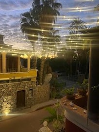 The view from bed looking out over the terrace — palm trees, soft morning light, and twinkling lights at night. Simple magic.