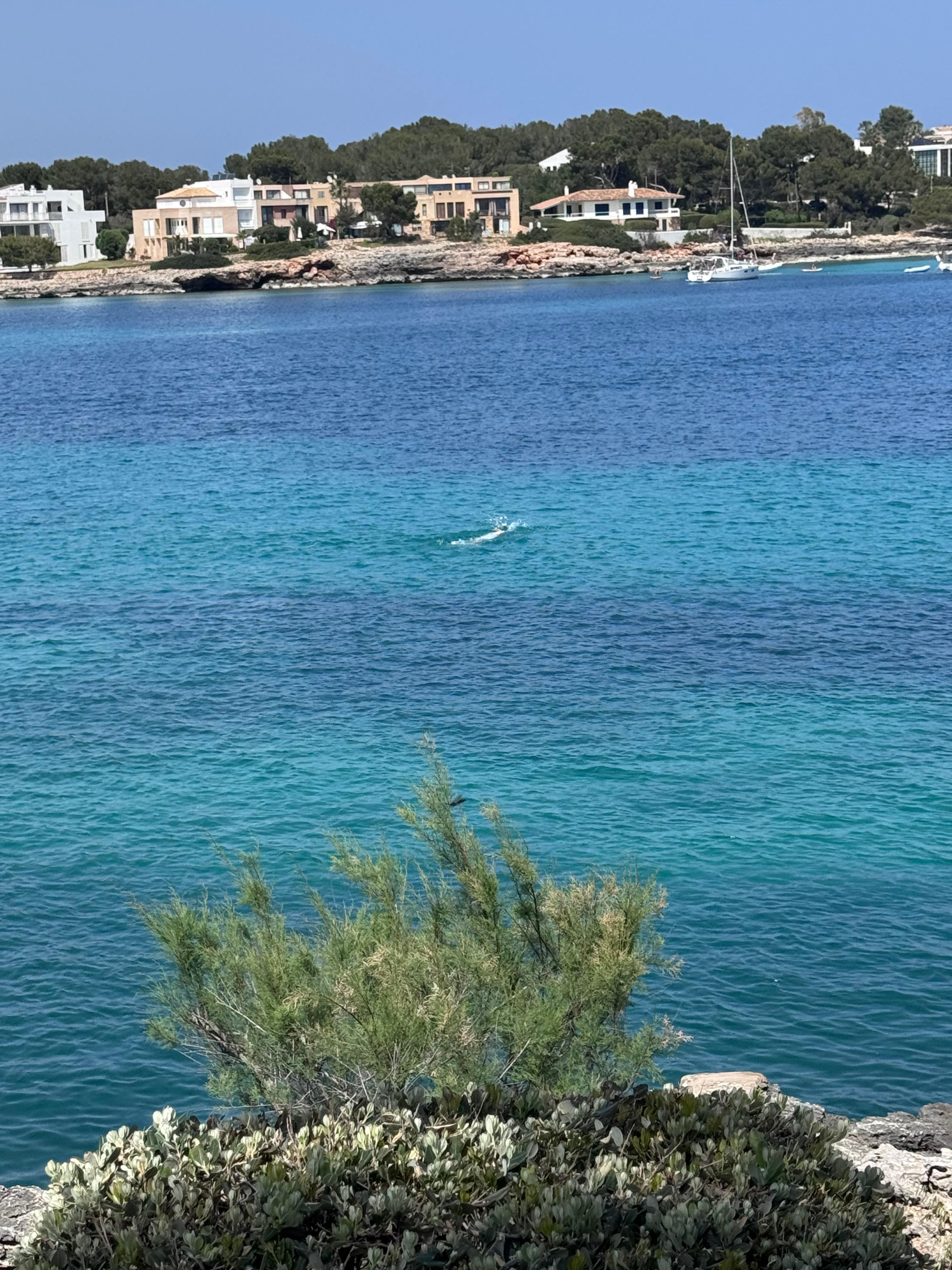 Aussicht von der Terrasse 