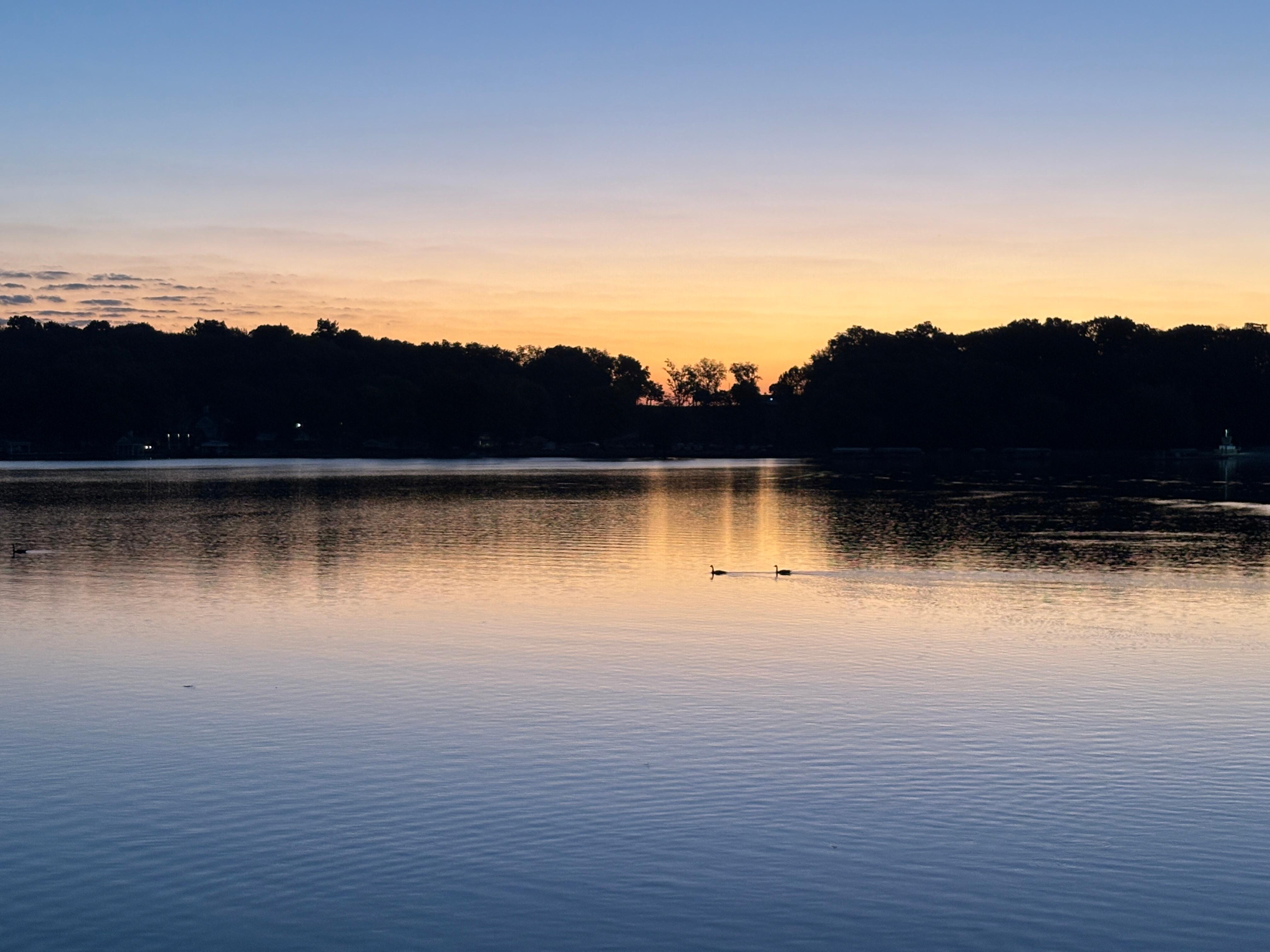 Sunrise with the ducks.  It was so fun to watch the fish jumping in the water in the early morning!
