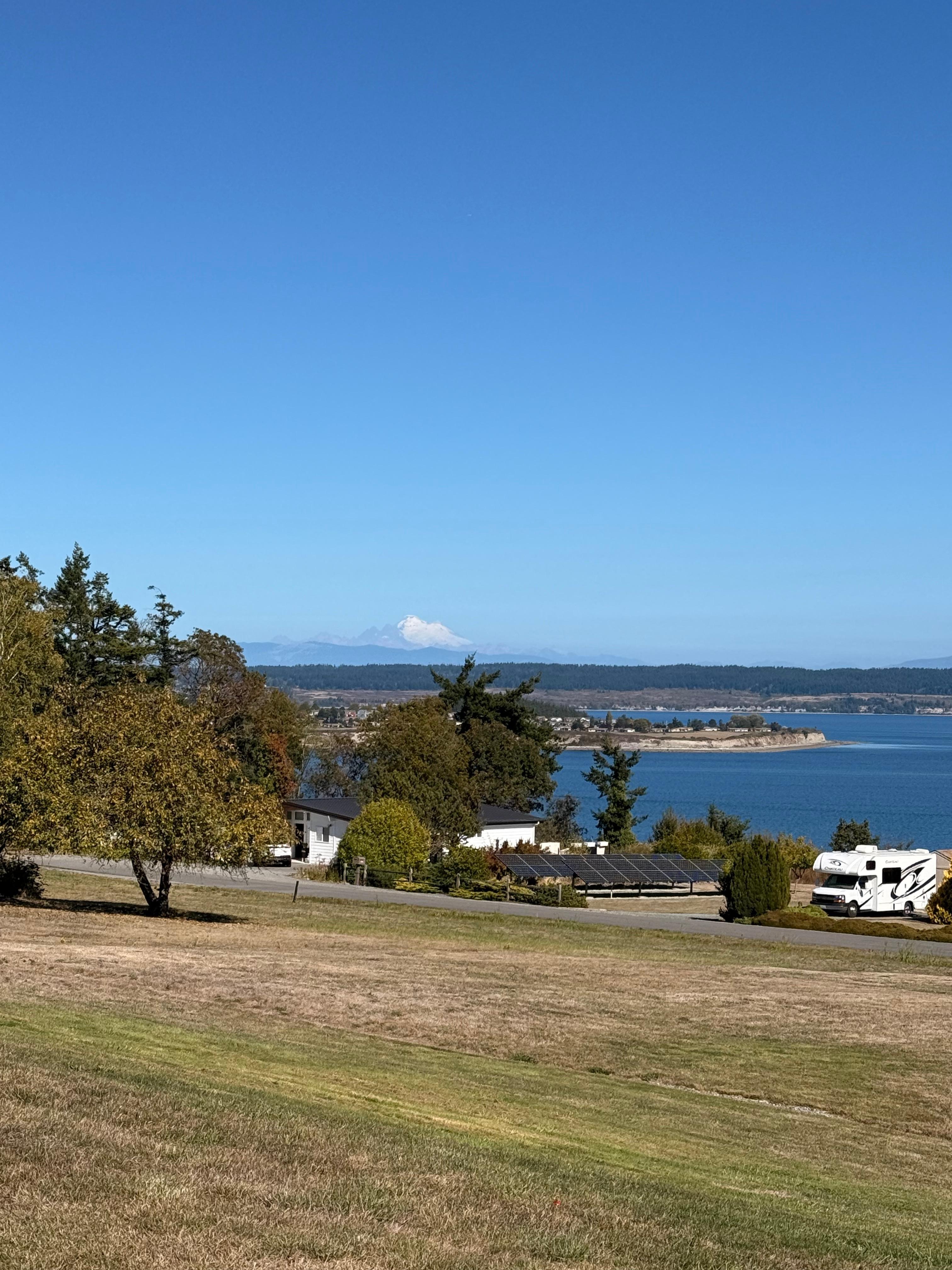 View from the back porch 