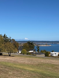 View from the back porch