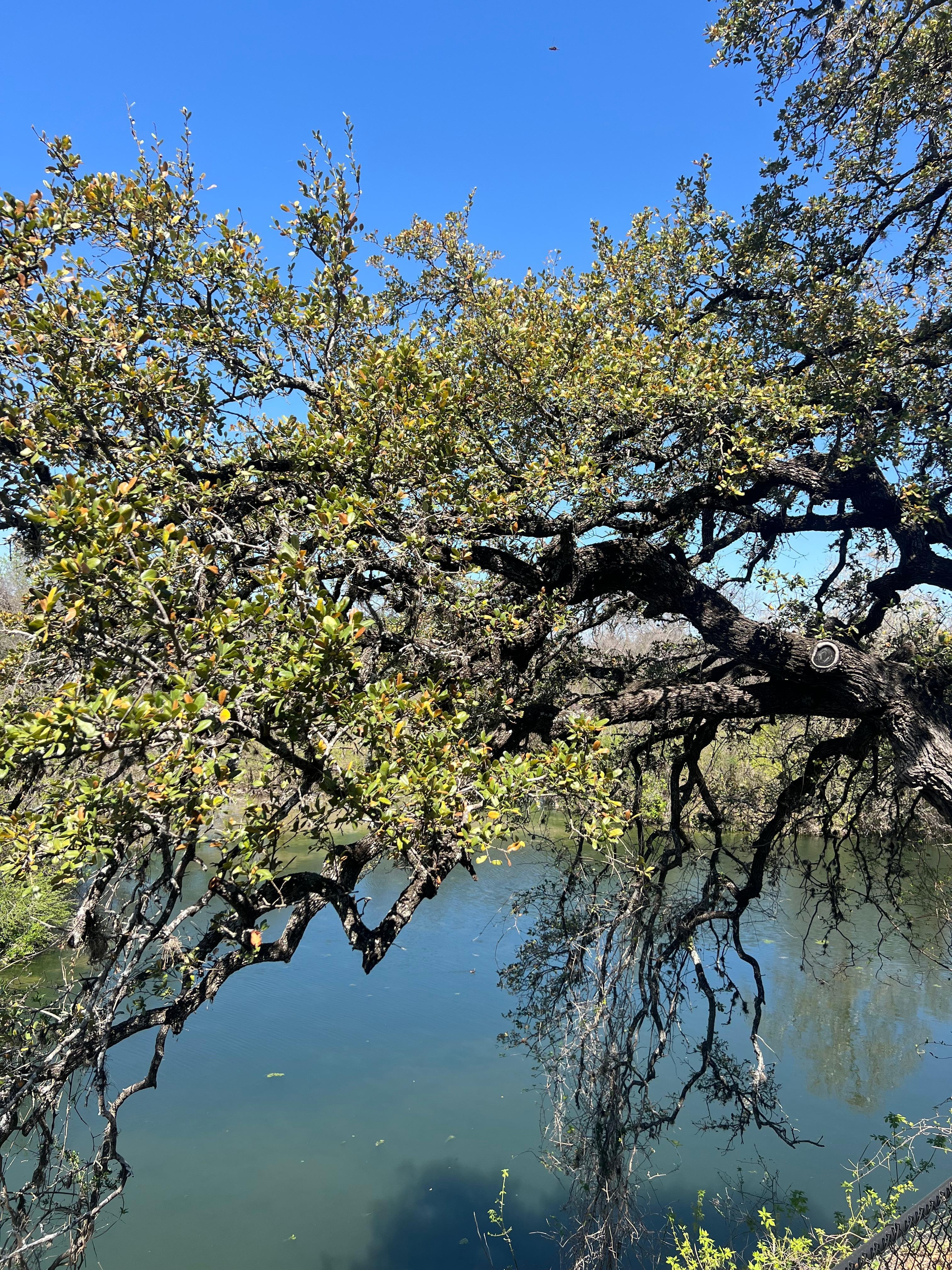 View from our private balcony
