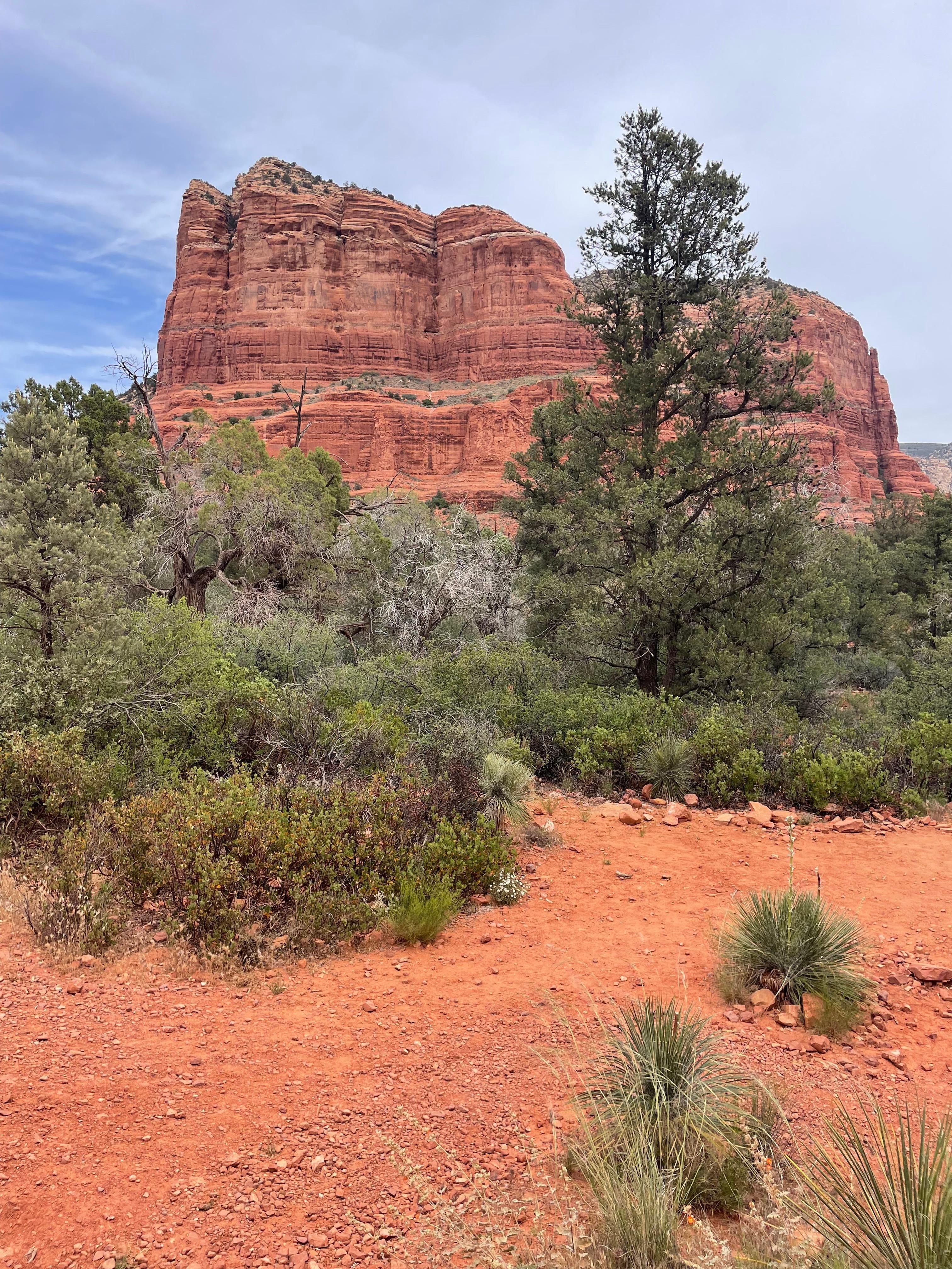 Sedona’s beautiful red rocks!