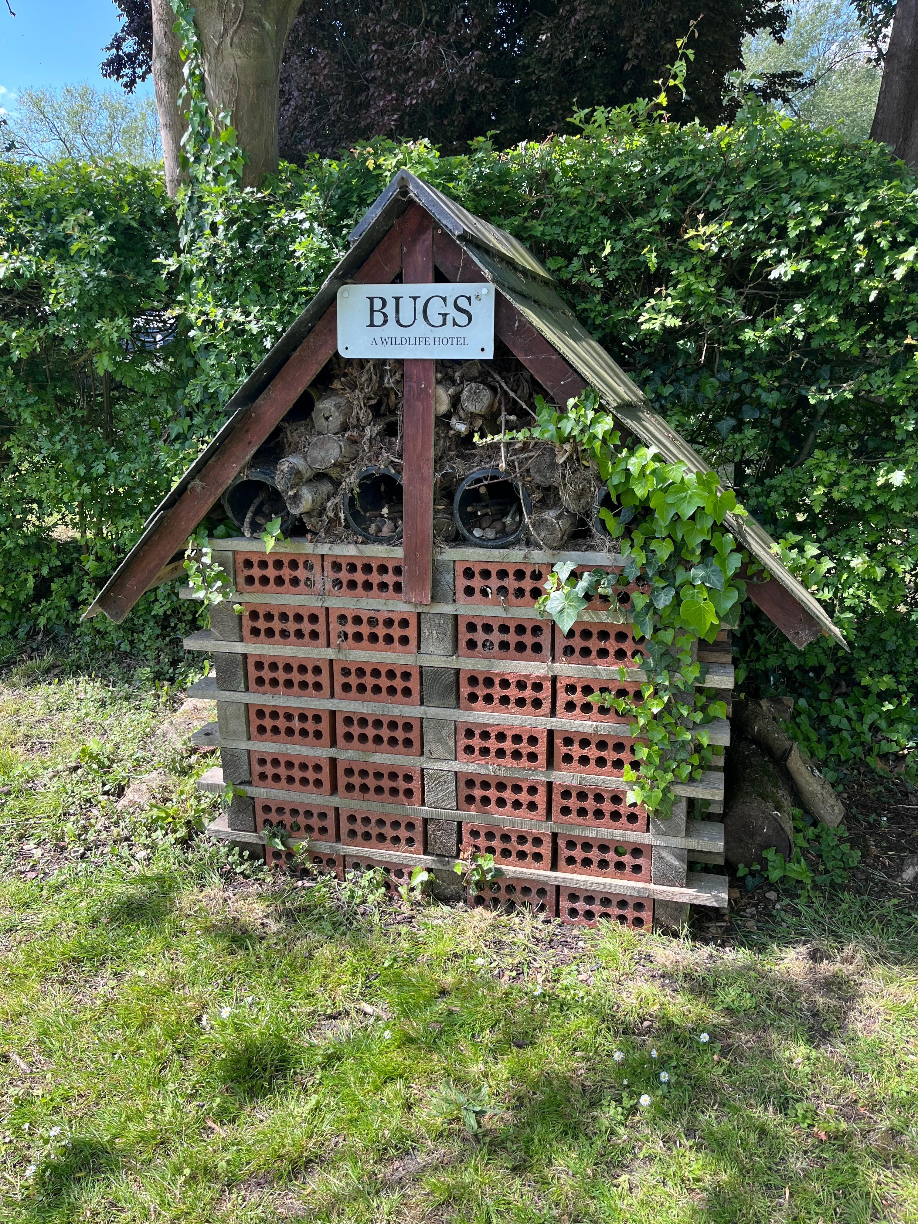 Bug hotel!