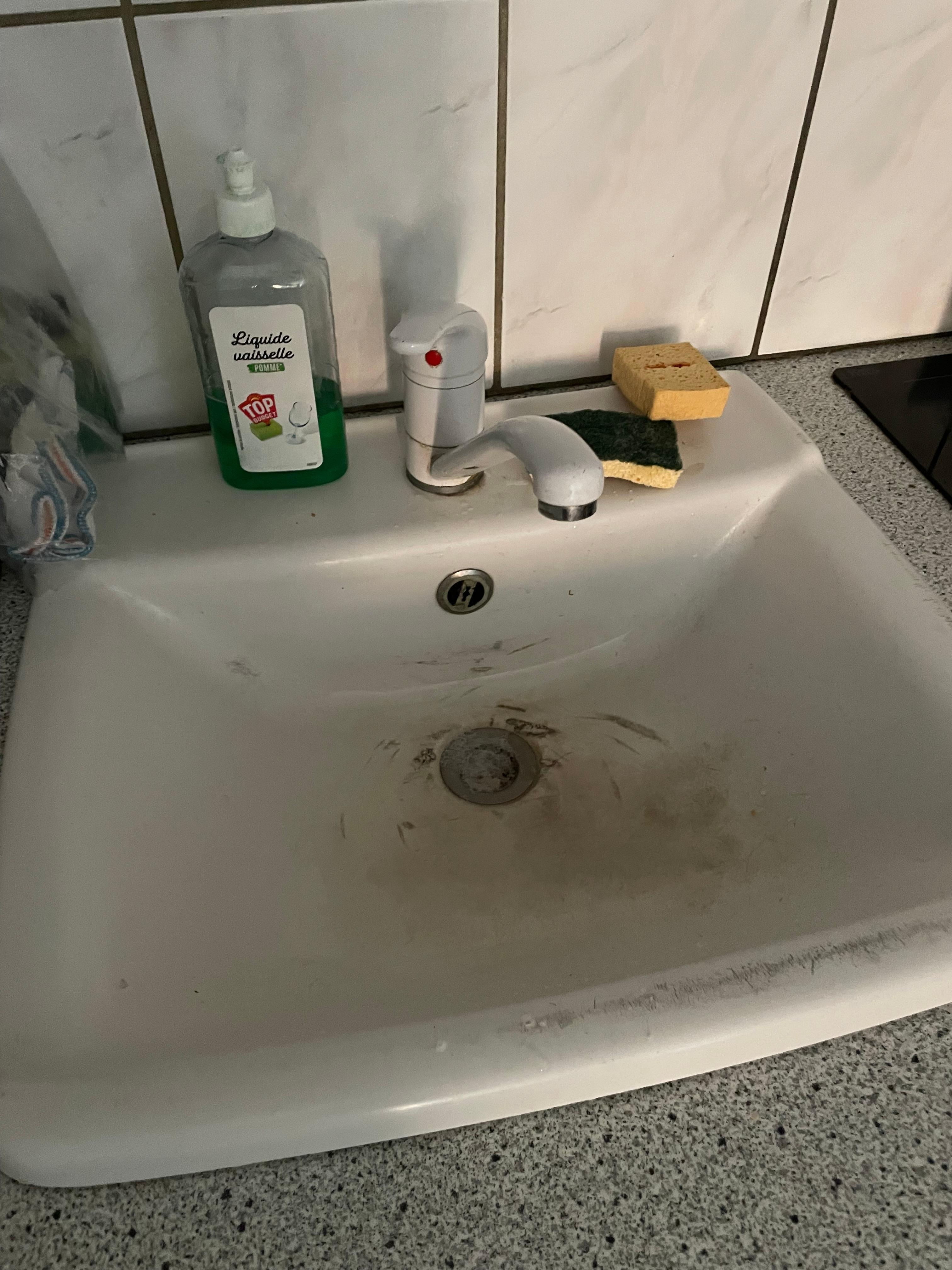 The kitchen sink. Disgusting.