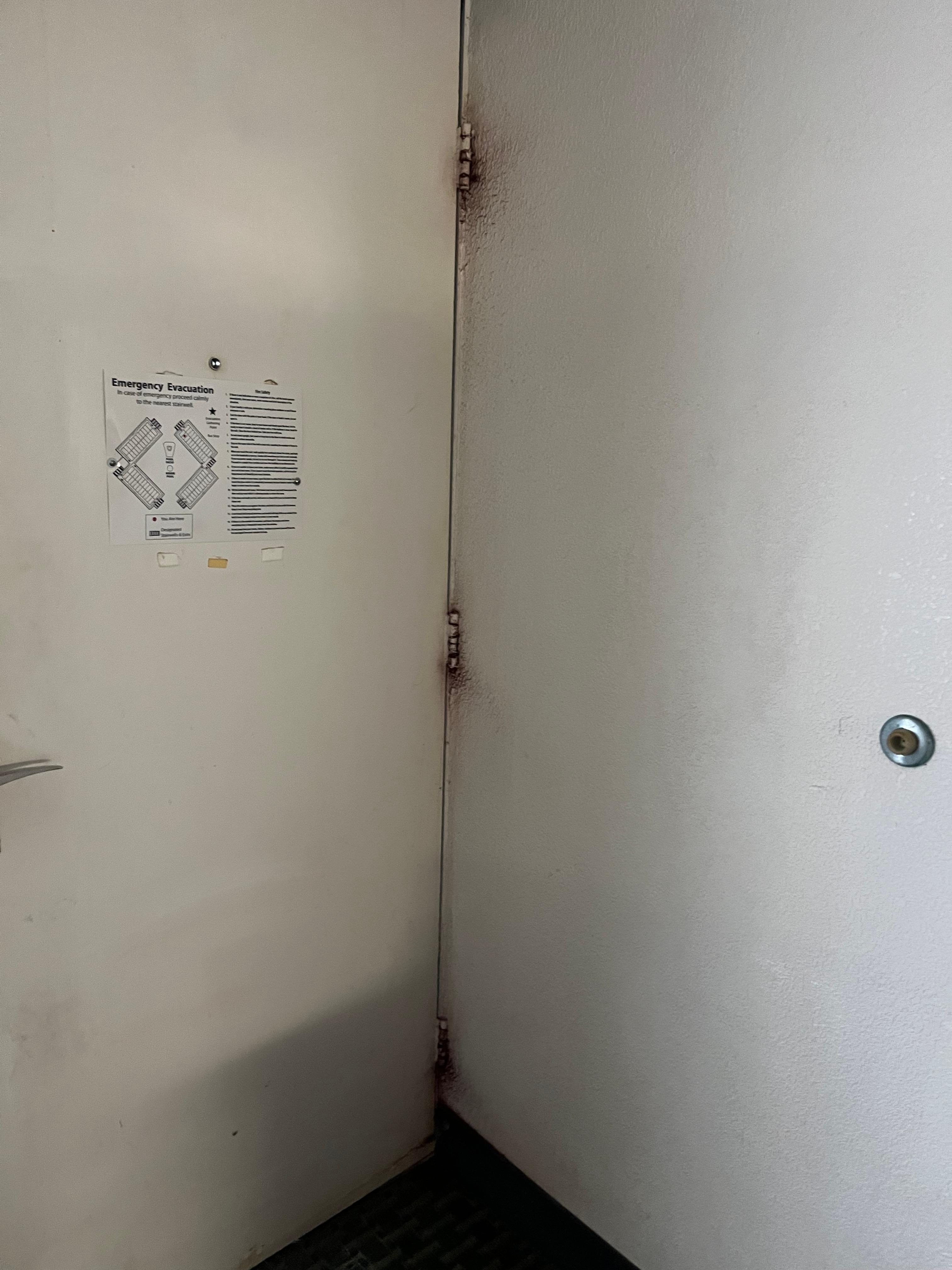 mold on the walls, and that was just the one corner.