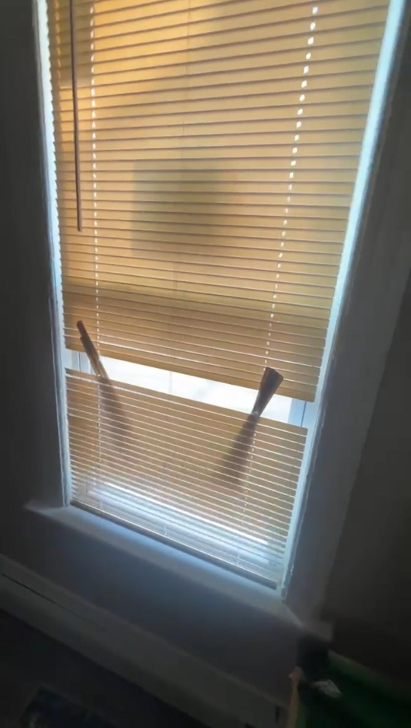 Blind in the room with the air bed