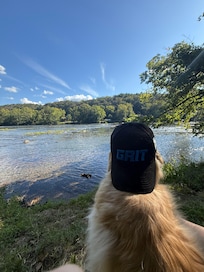 Scully enjoying the beautiful view!