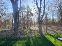 Morning view thru the back window