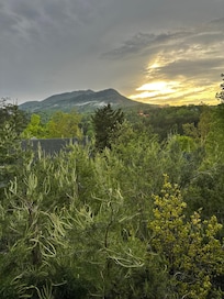 Evening view from back porch.