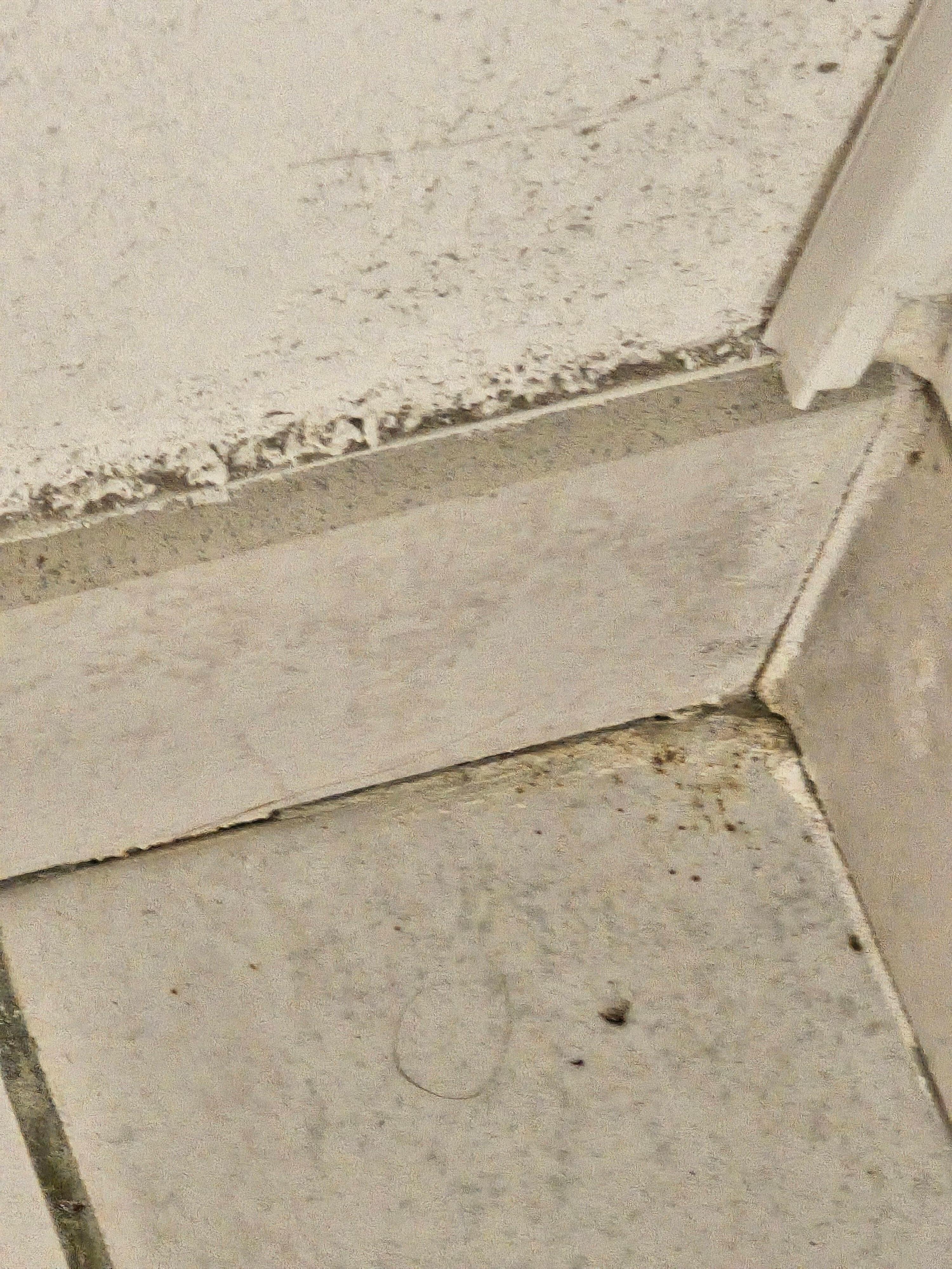 Coin du logement