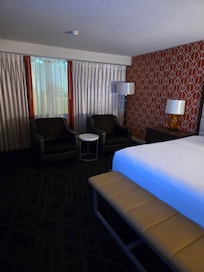 The room, a king size single room, very spacious.
