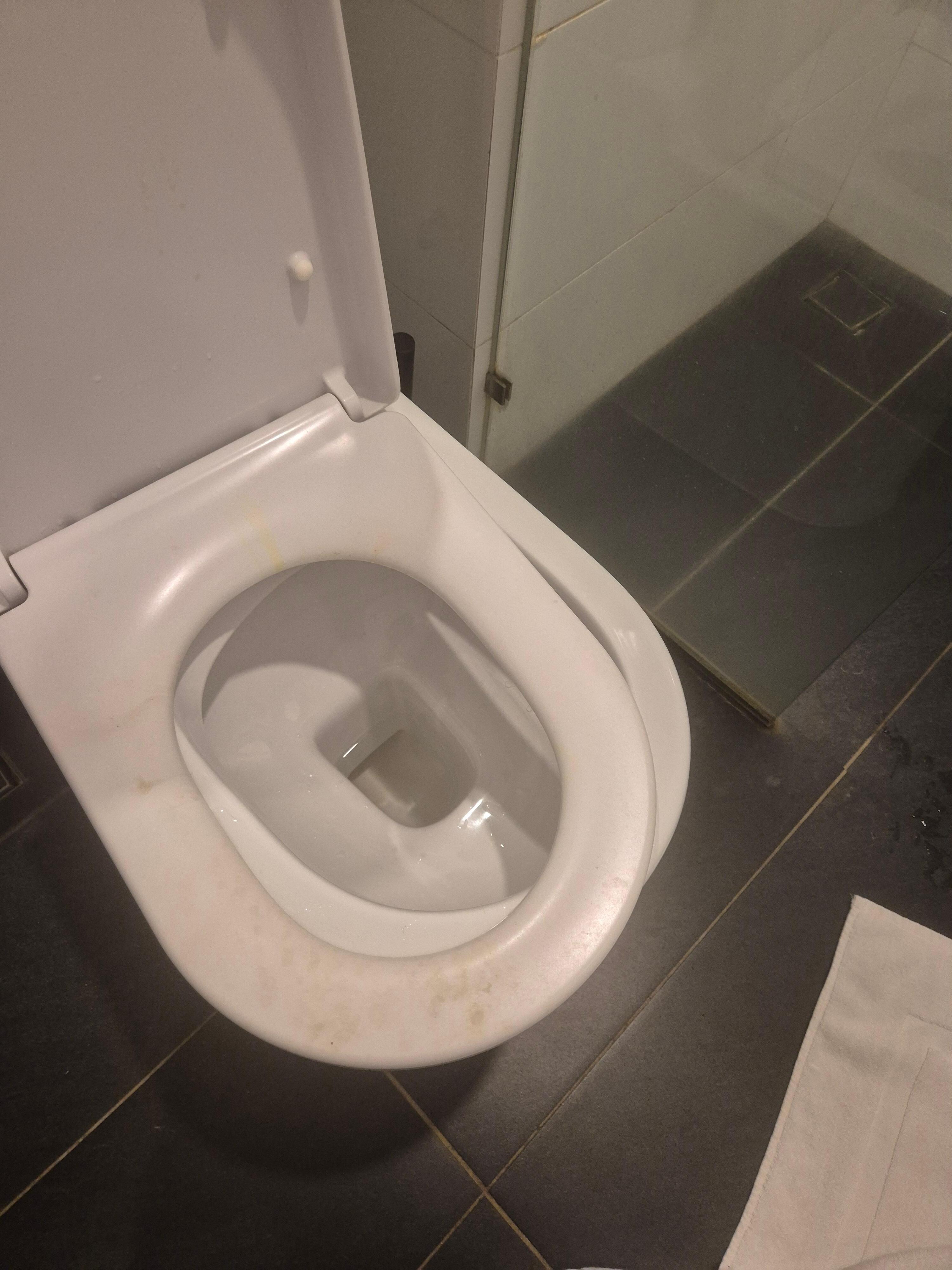 broken and heavily stained toilet seat