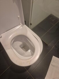 broken and heavily stained toilet seat