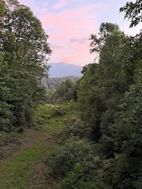 View from the back deck
