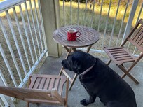Enjoying cup of coffee on the deck.