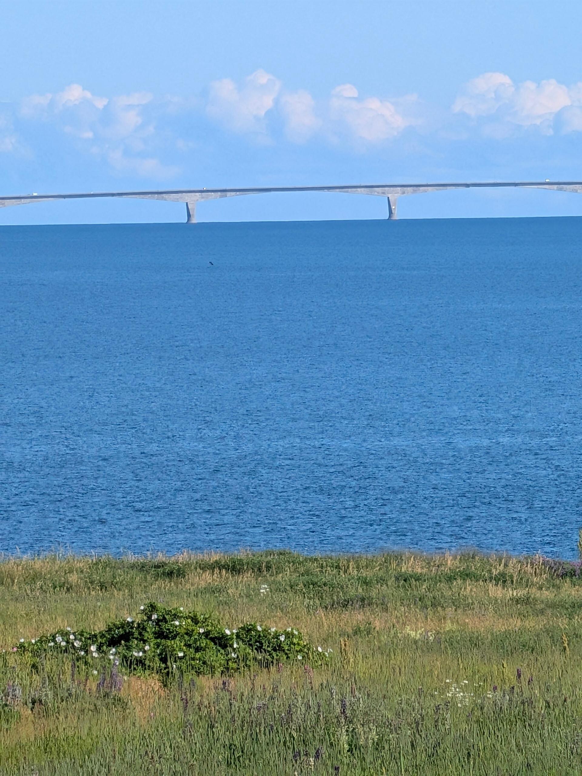 View of the Confederate bridge from the cottage.