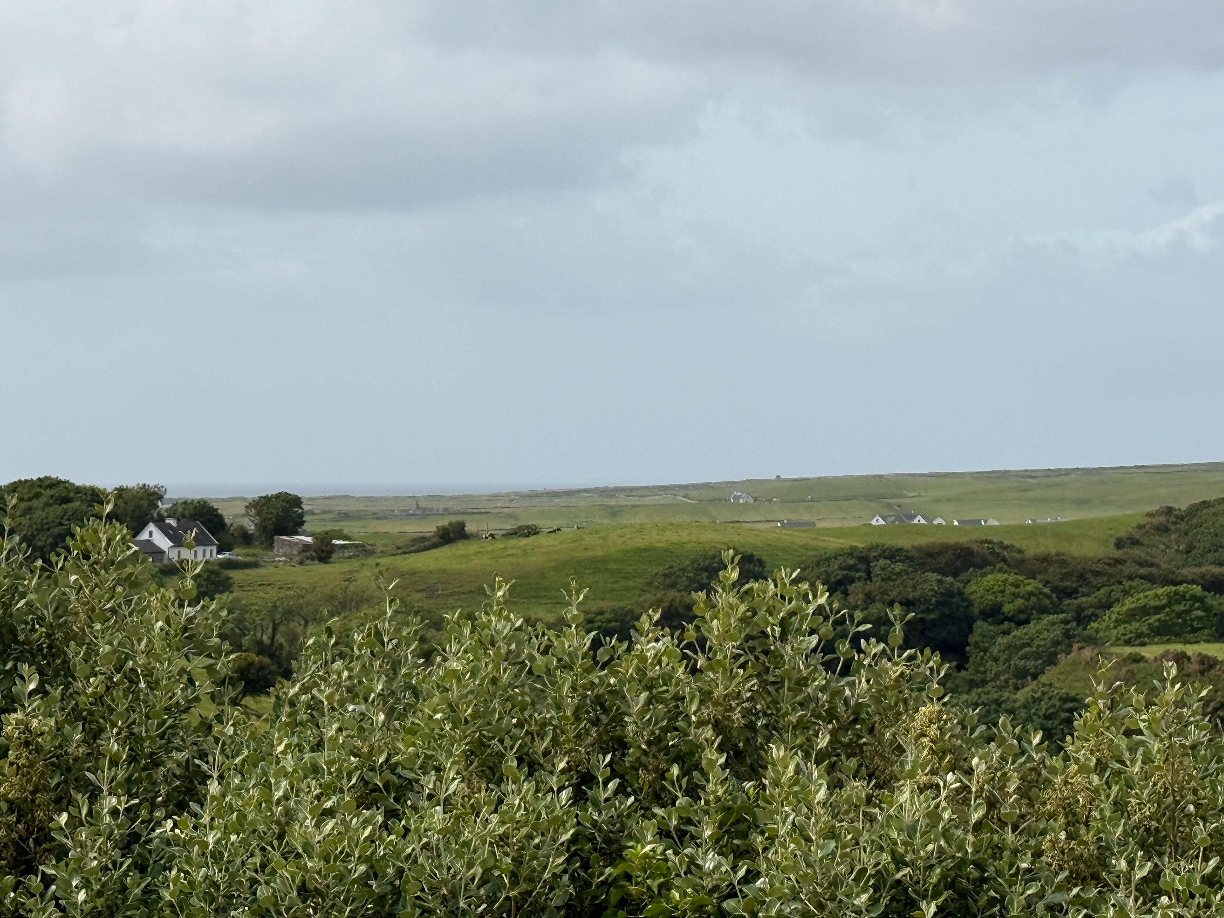 View from deck