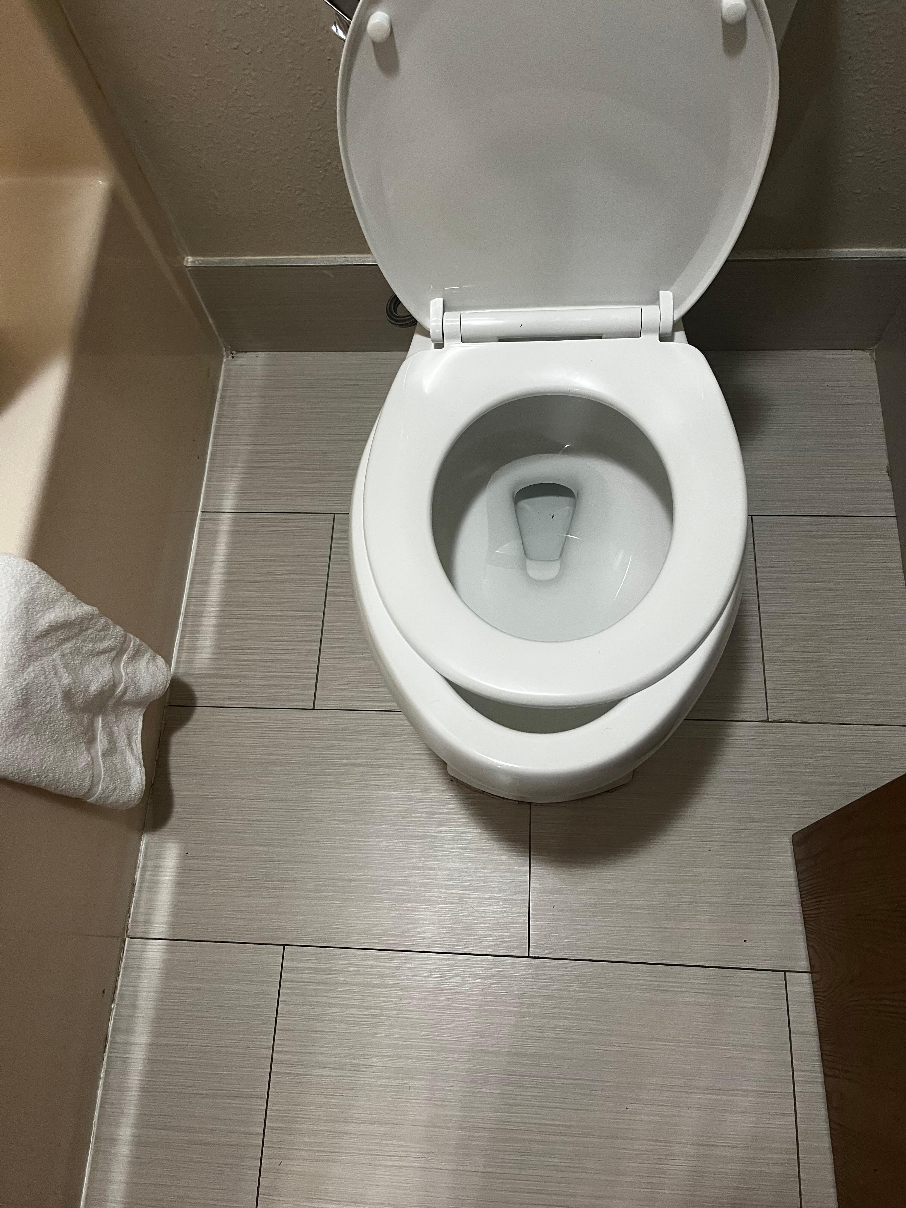 ill fitted toilet seat