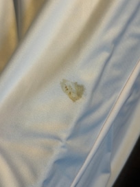 Food stain(I’m assuming) on mattress cover.