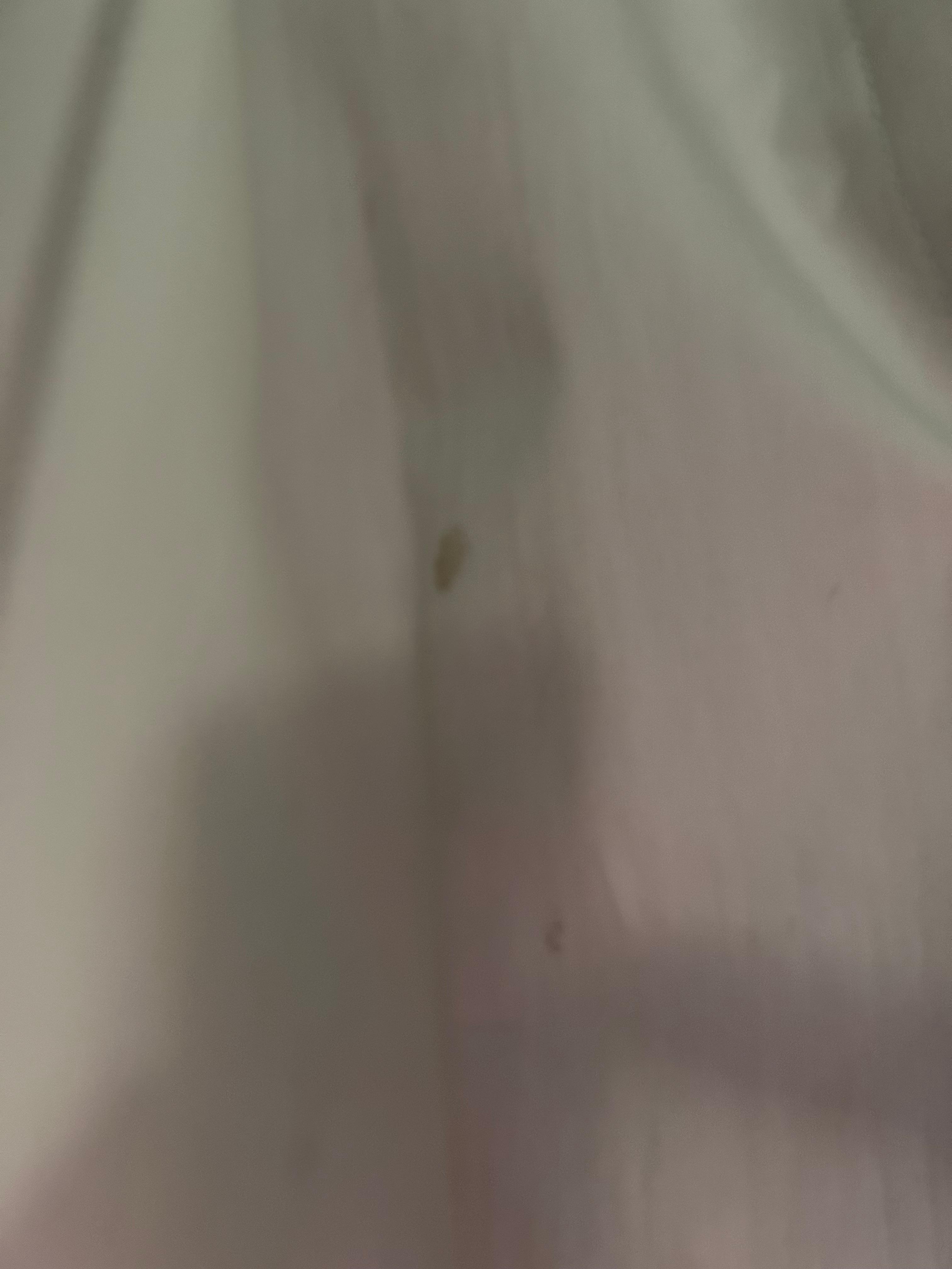 The disgusting curtains 