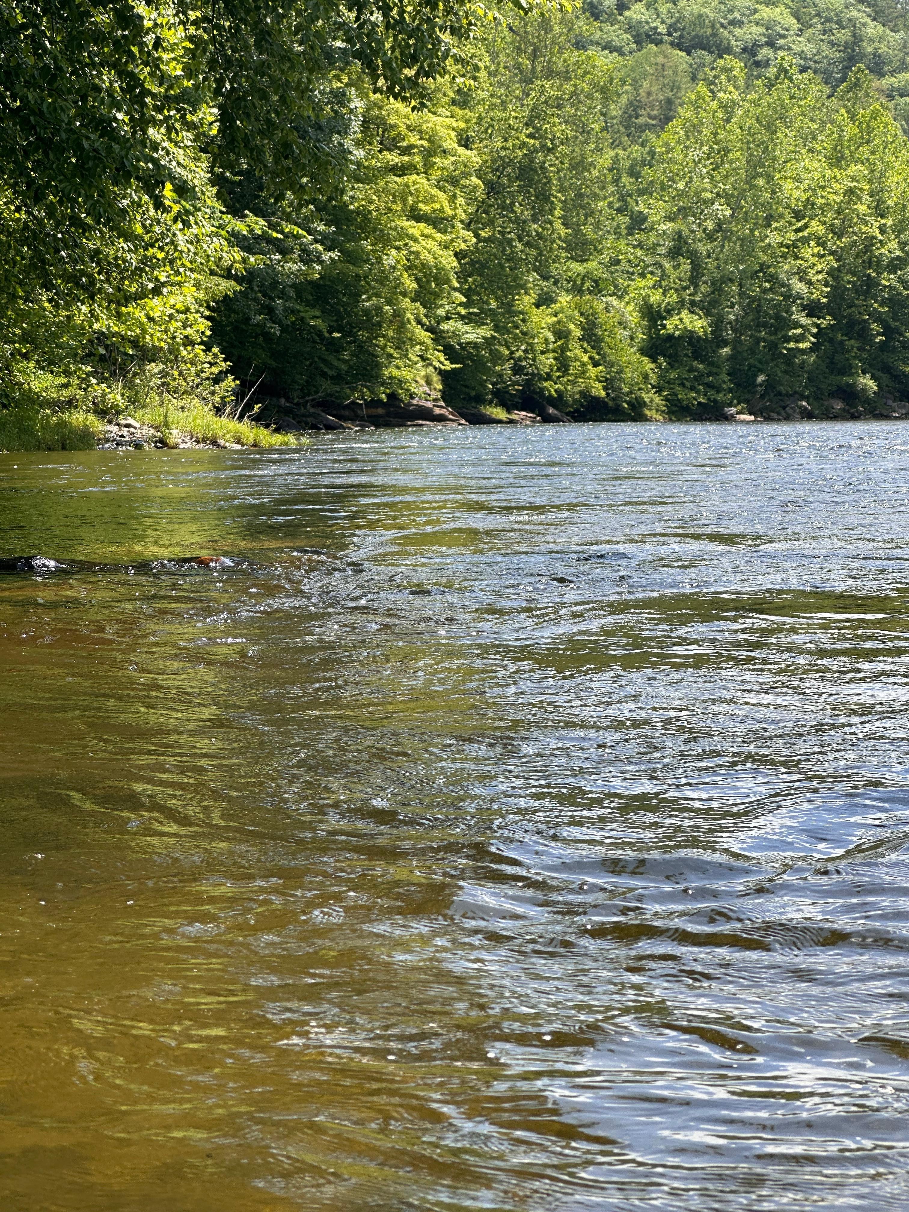 Host knows all the secret spots. Got to soak in the West river