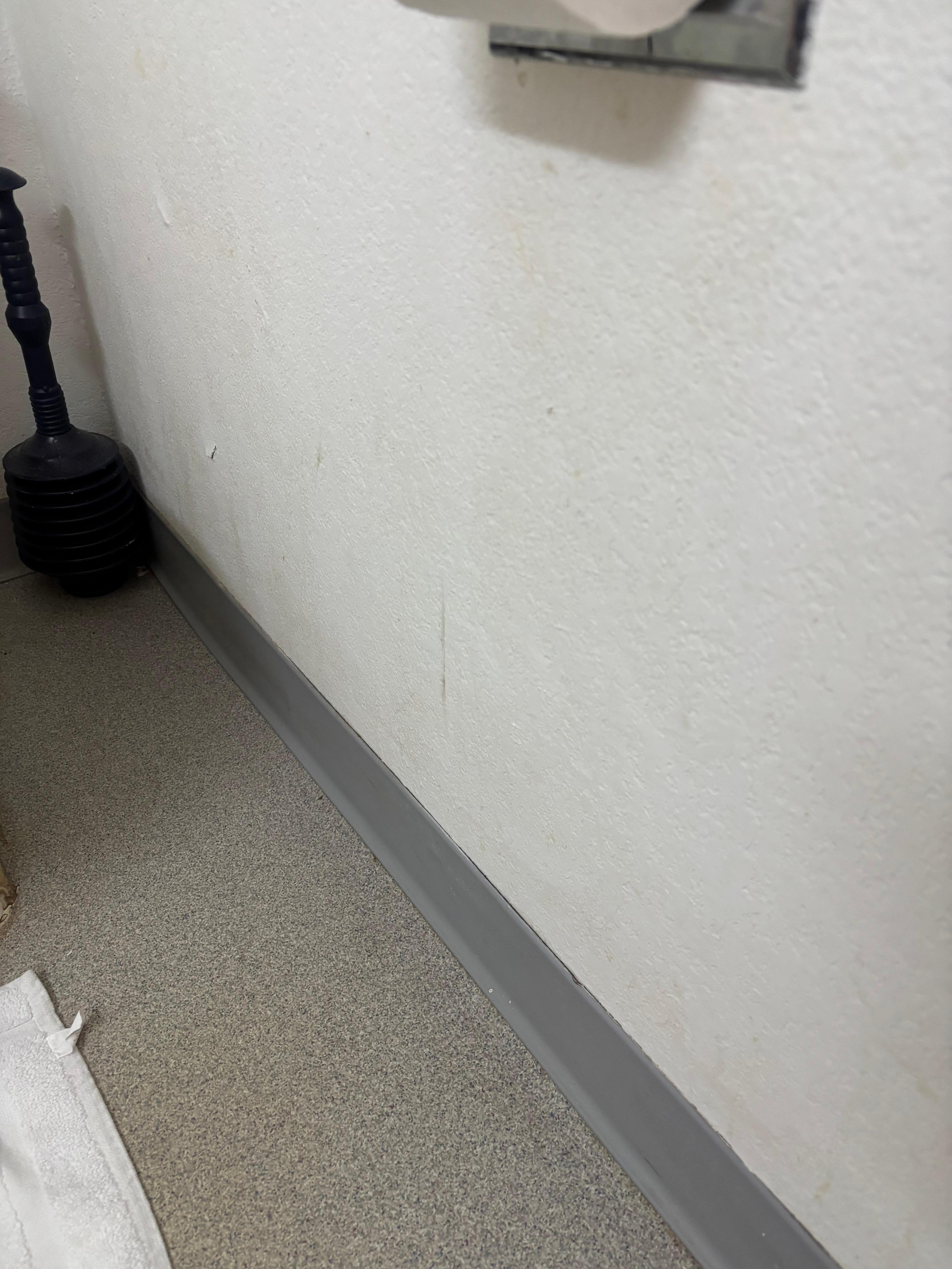 Urine all over the walls in the bathroom