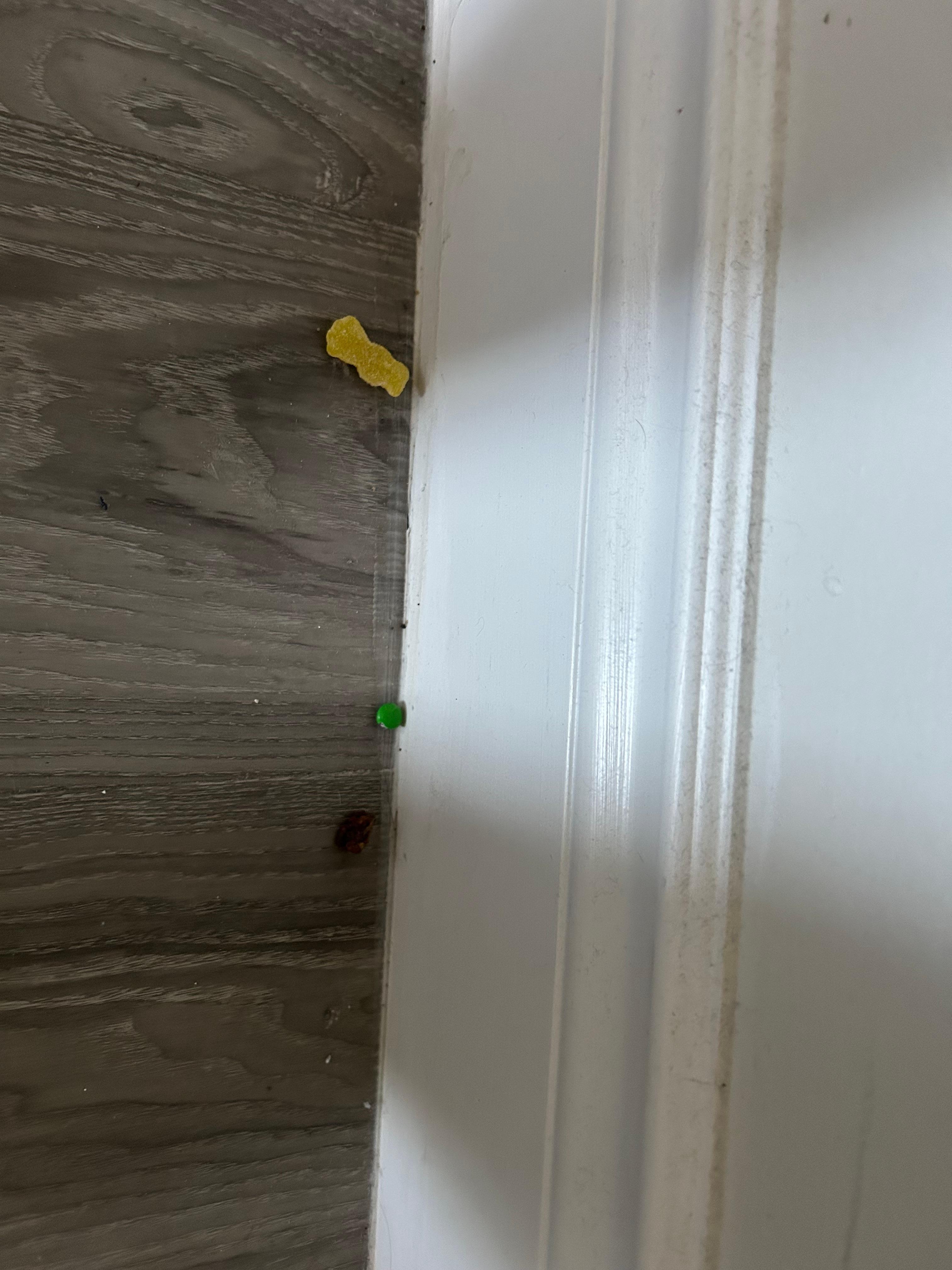 Candies on floor behind the door - from previous guests 