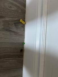 Candies on floor behind the door - from previous guests