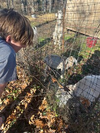 Picked up some apples for the goats