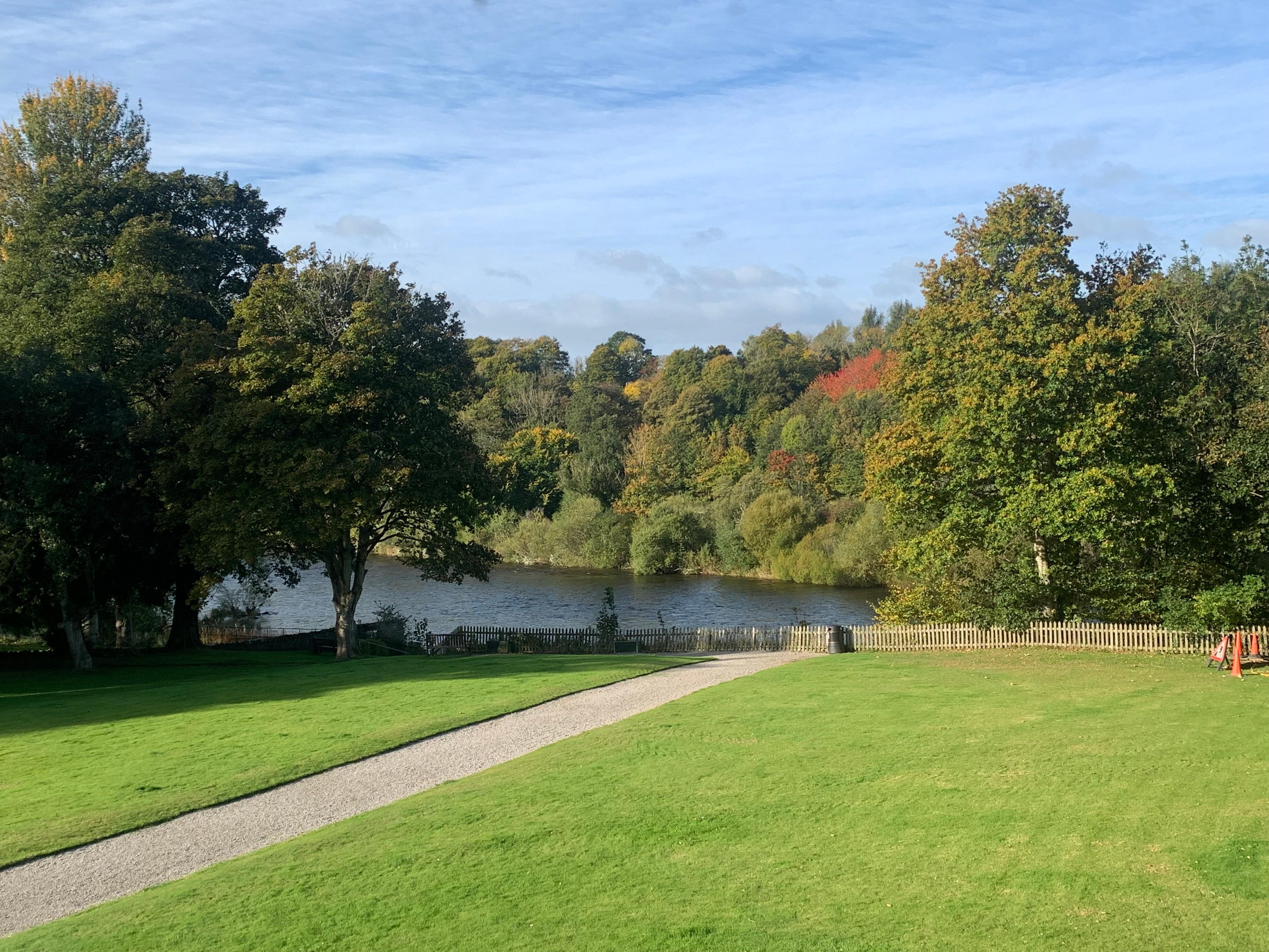 View having breakfast 