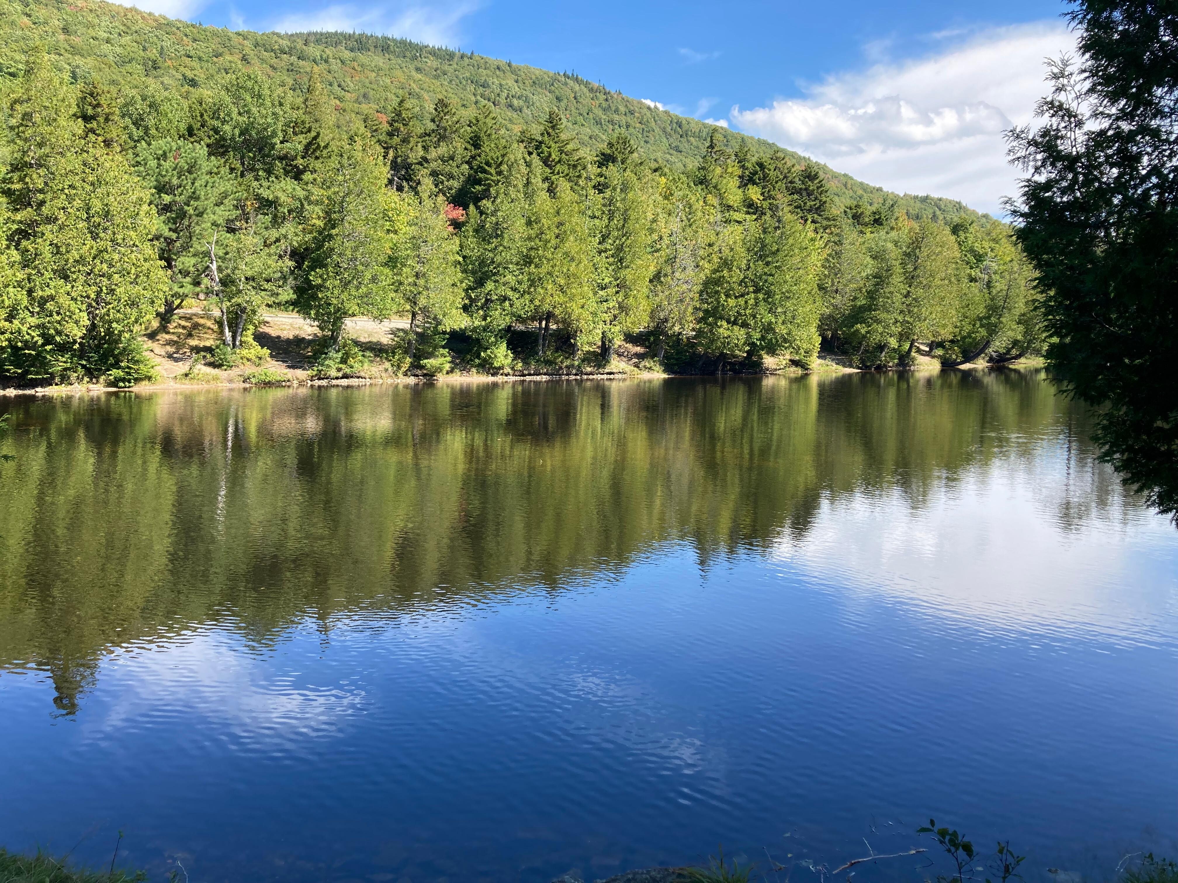 Pond in the Adirondacks 