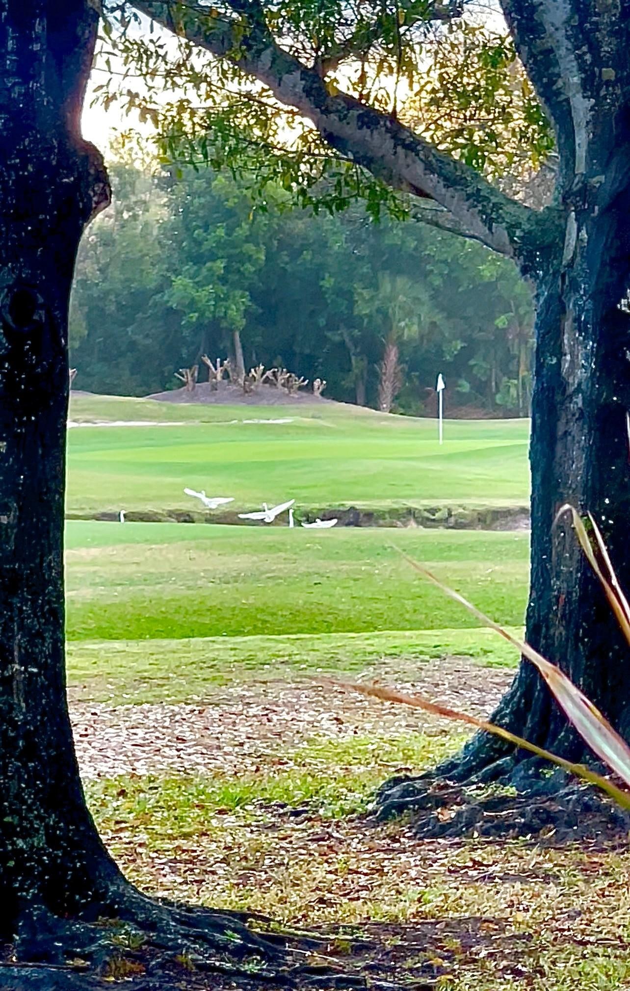 Peaceful Florida Morning