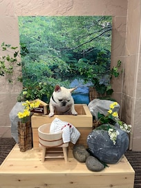 エントランスでポーズ