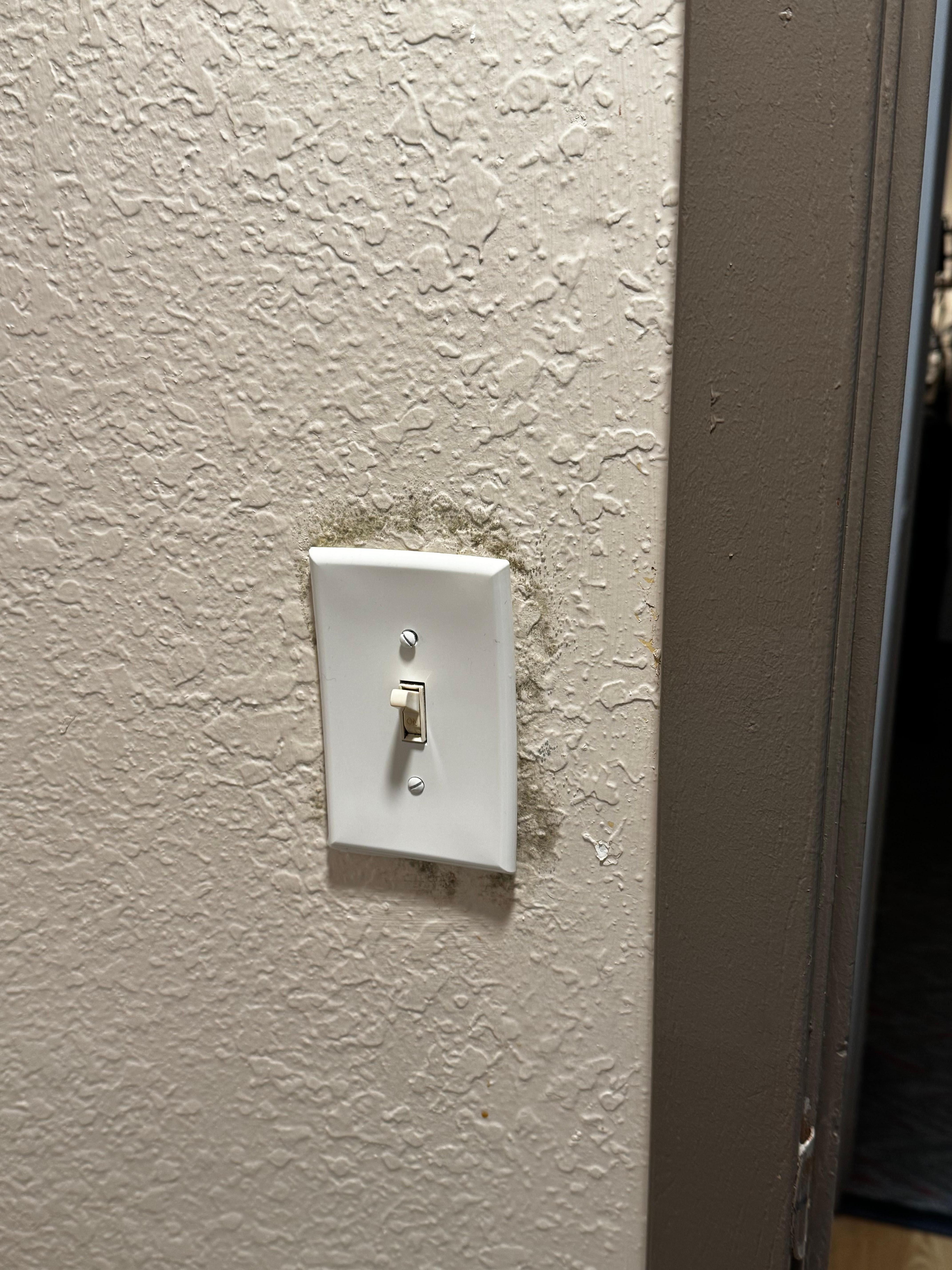 Mold around light switches.